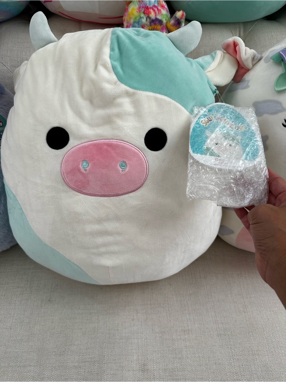 Squishmallow Belana large. NWT